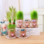 Free shipping - MR GRASSHEAD - Grass Head Doll Plant,Creative ornaments(no glass bottle) - Image 3